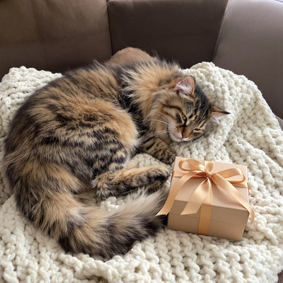 Cadeau personnalisé chat