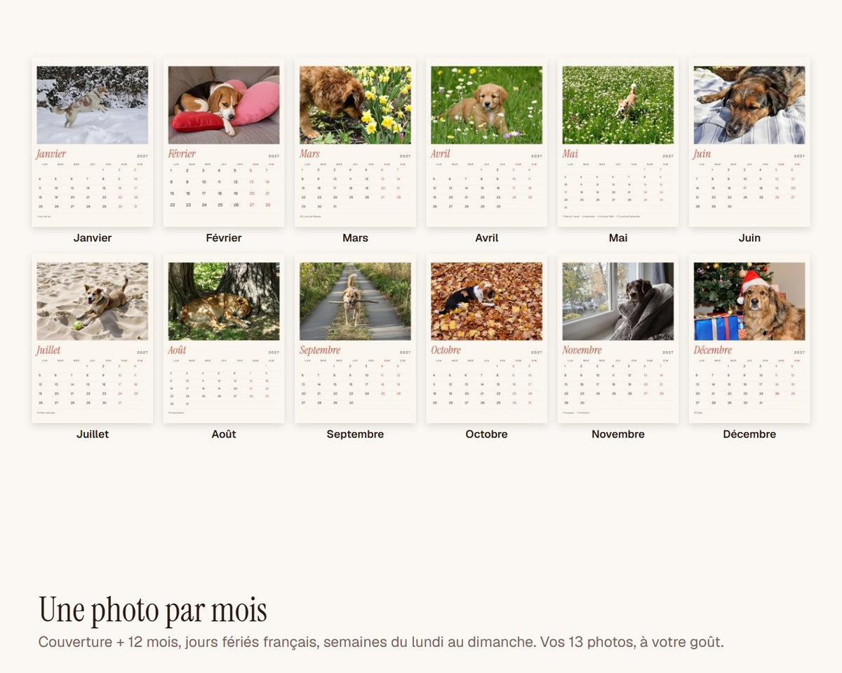 Calendrier photo 2027 de votre chien – les douze mois