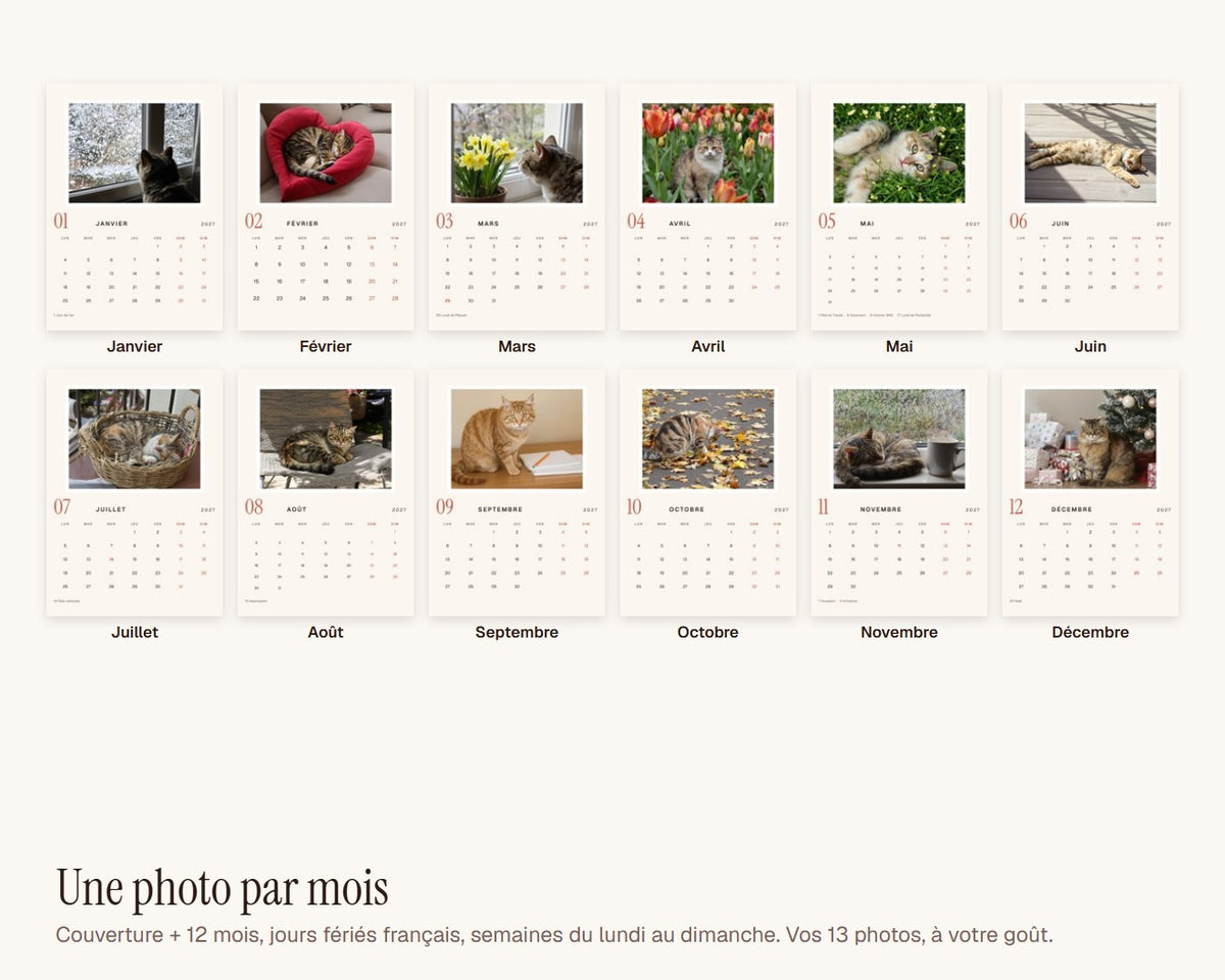 Calendrier photo 2027 de votre chat – les douze mois
