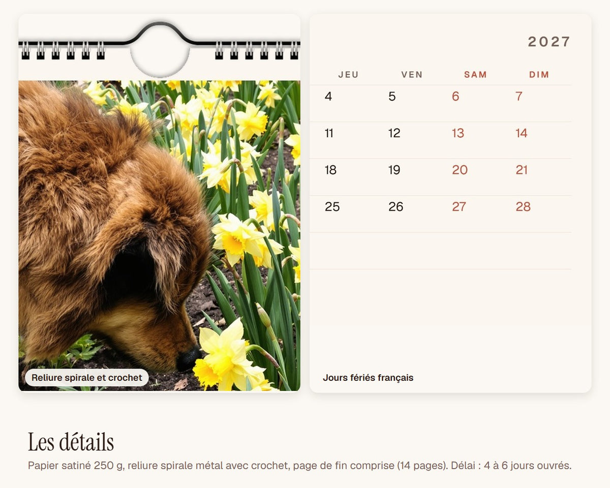 Calendrier photo 2027 de votre chien – reliure spirale, crochet et grille du mois