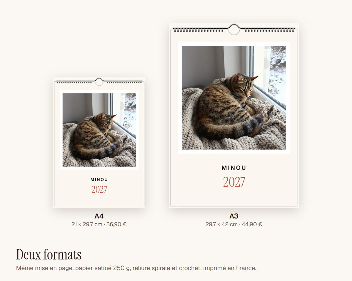Calendrier photo 2027 de votre chat – formats A4 et A3