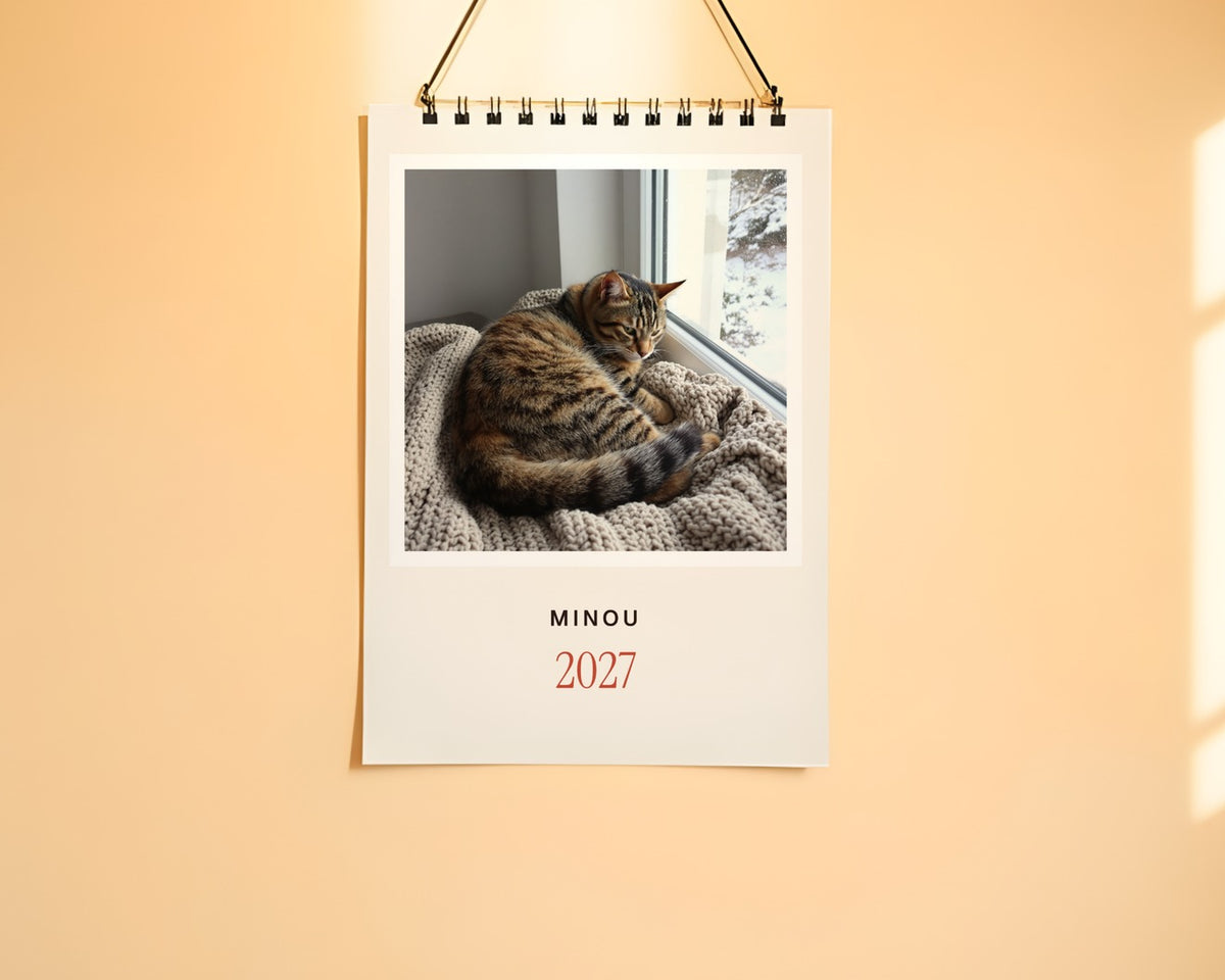 Calendrier photo 2027 de votre chat – au mur