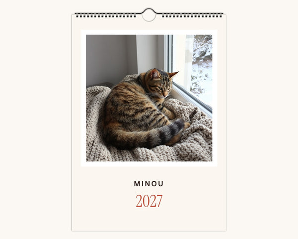 Calendrier photo 2027 de votre chat – couverture