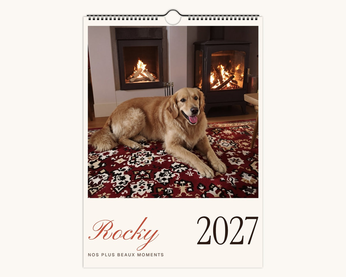 Calendrier photo 2027 de votre chien – couverture