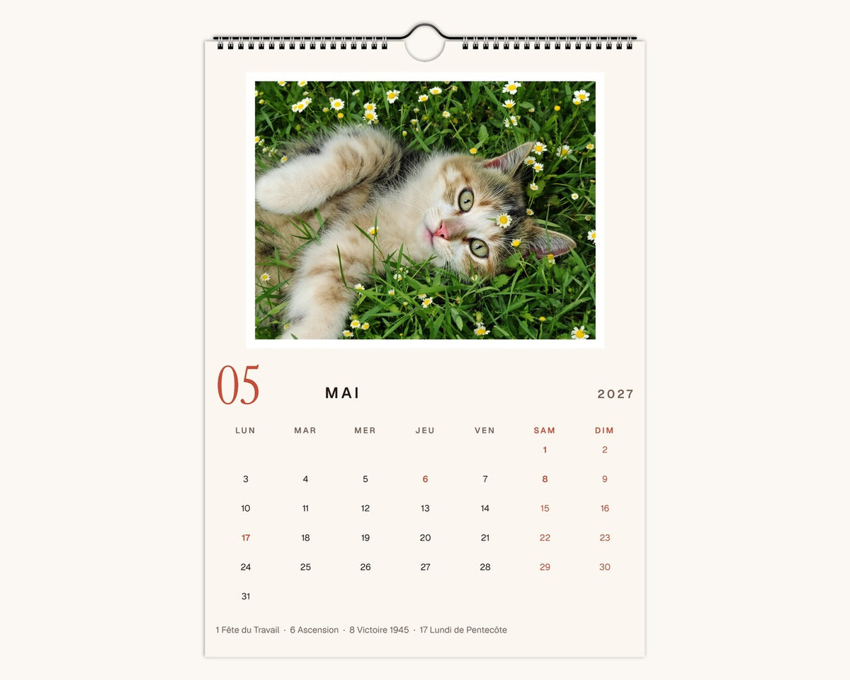 Calendrier photo 2027 de votre chat – page de mai
