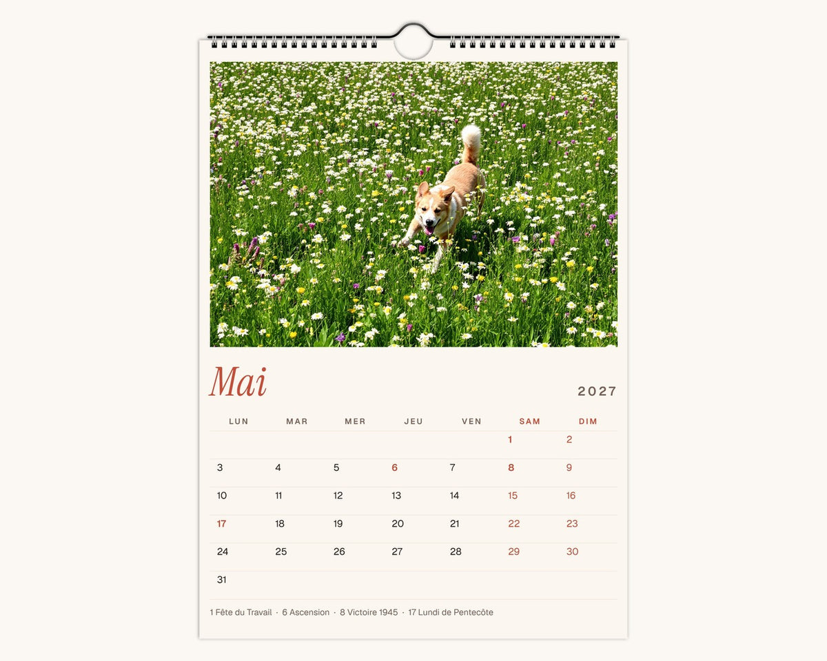 Calendrier photo 2027 de votre chien – page de mai